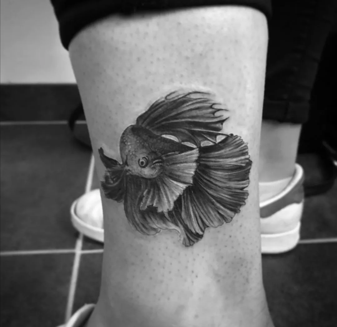 Black-and-grey betta fish tattooed on an ankle.