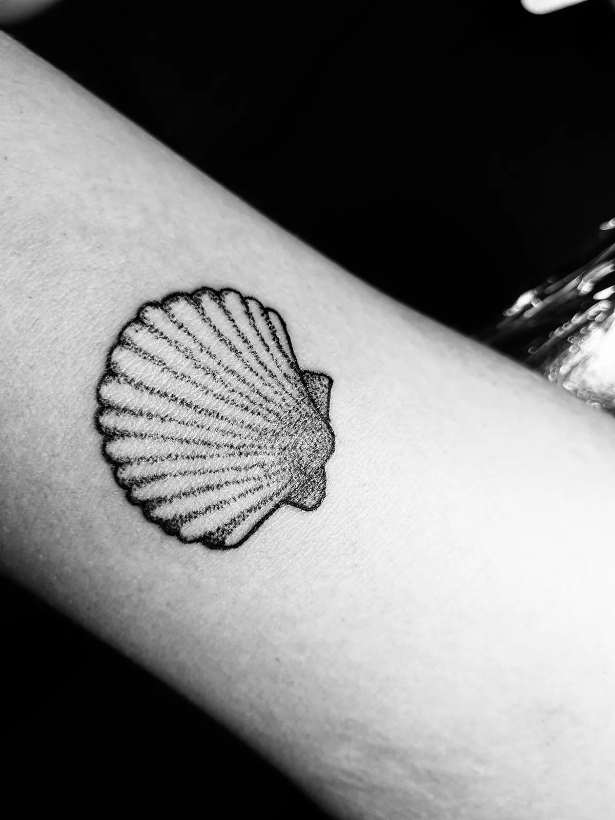 Stippled scallop shell tattooed on a forearm.