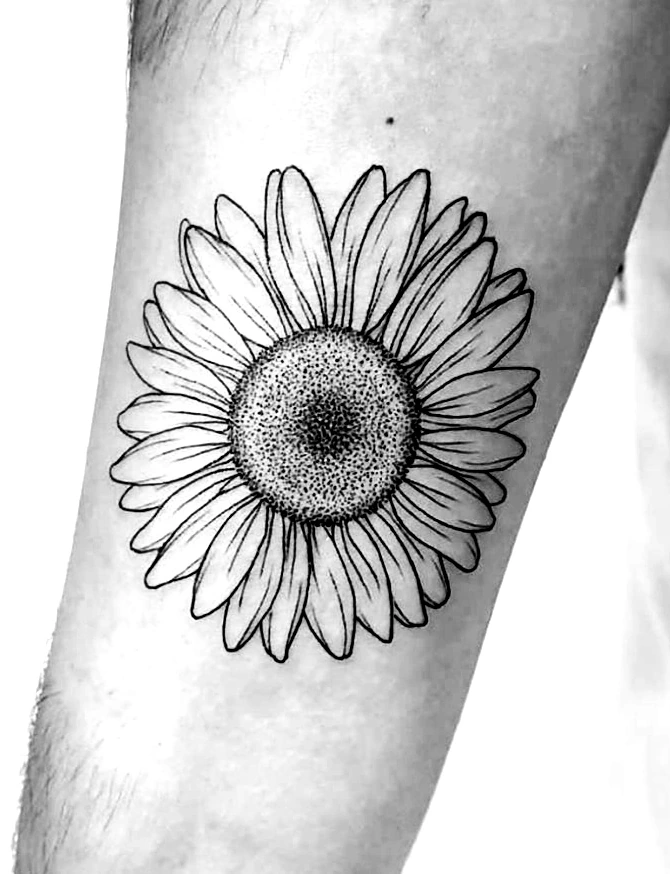 Fine-line sunflower with a stippled centre, tattooed on a forearm.